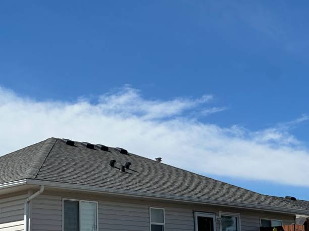 Best Roof Maintenance and Cleaning  in Mcfarland, WI